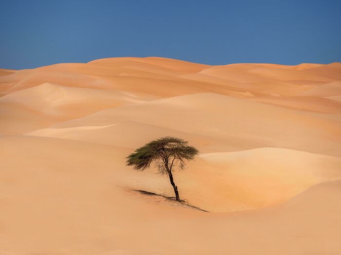 From Abandoned Towns To Weird Statues, Here Are 58 Of The Most Unexpected Things Found In Deserts