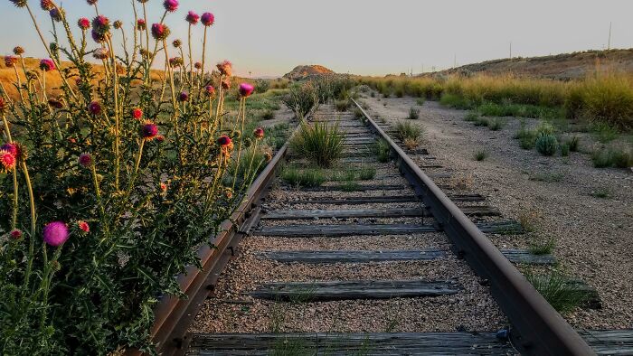 From Abandoned Towns To Weird Statues, Here Are 58 Of The Most Unexpected Things Found In Deserts