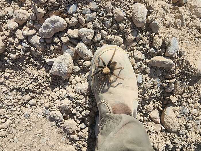 From Abandoned Towns To Weird Statues, Here Are 58 Of The Most Unexpected Things Found In Deserts