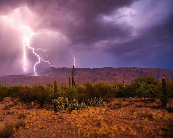 From Abandoned Towns To Weird Statues, Here Are 58 Of The Most Unexpected Things Found In Deserts