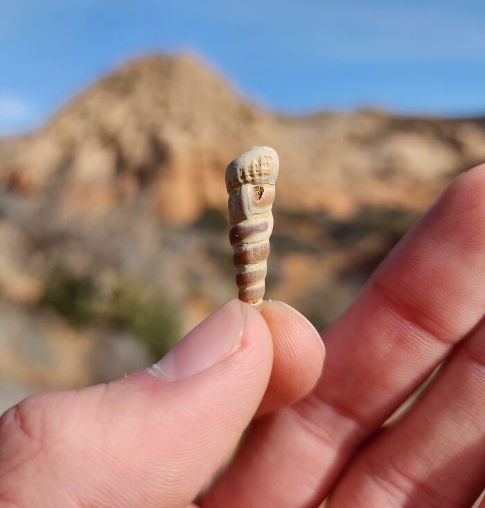 From Abandoned Towns To Weird Statues, Here Are 58 Of The Most Unexpected Things Found In Deserts