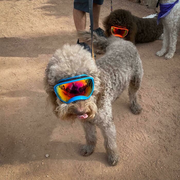 From Abandoned Towns To Weird Statues, Here Are 58 Of The Most Unexpected Things Found In Deserts