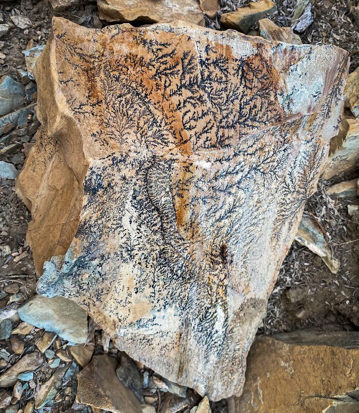 From Abandoned Towns To Weird Statues, Here Are 58 Of The Most Unexpected Things Found In Deserts