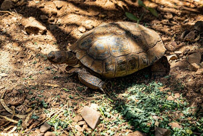 From Abandoned Towns To Weird Statues, Here Are 58 Of The Most Unexpected Things Found In Deserts