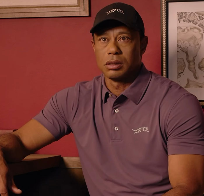 Footage Of Tiger Woods Arrest Was Released, Here Are The Most Hilarious Responses To It
