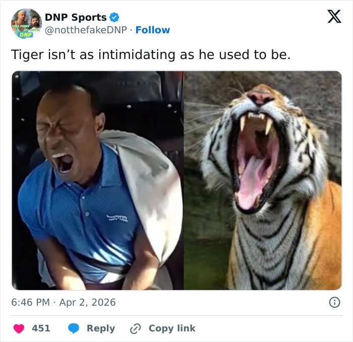 Footage Of Tiger Woods Arrest Was Released, Here Are The Most Hilarious Responses To It