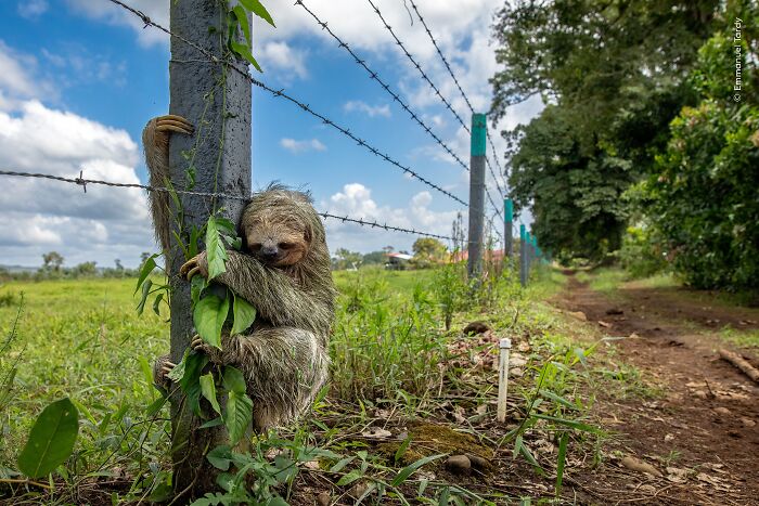 Wildlife Photographer Of The Year 2026: Stunning People&rsquo;s Choice Winners By Natural History Museum