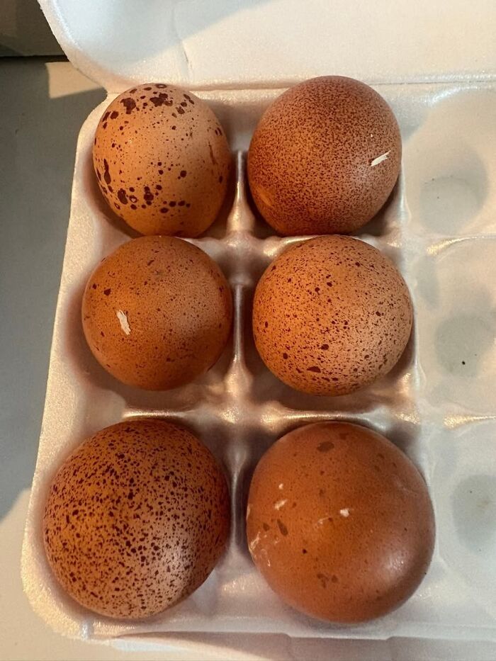 20 Creative Easter Egg Decorating Ideas That Go Way Beyond Basic Dye Kits