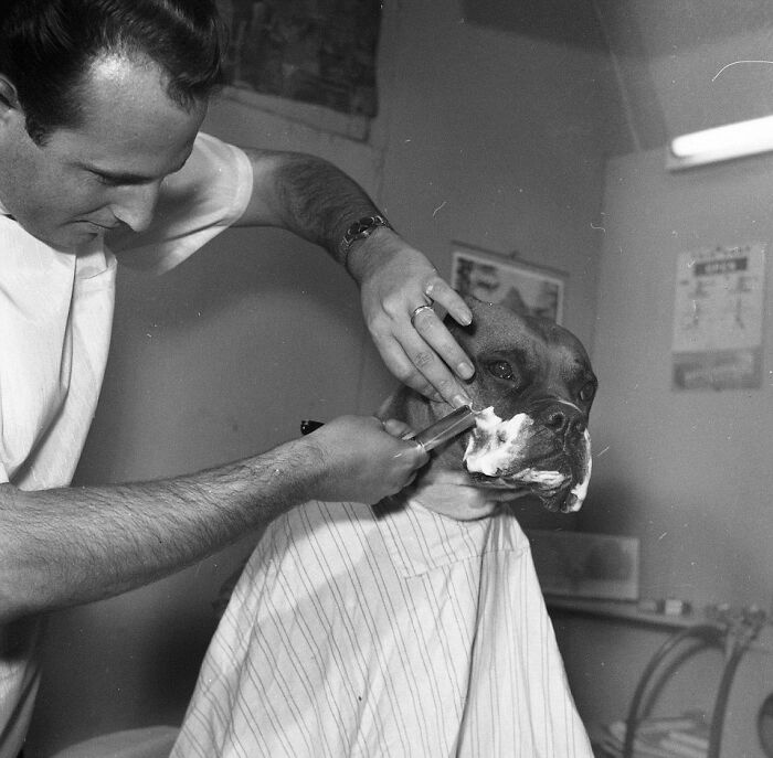 45 Photos From The Past That Reflect The Enduring Relationship Between Dogs And Humans Shared By This Community