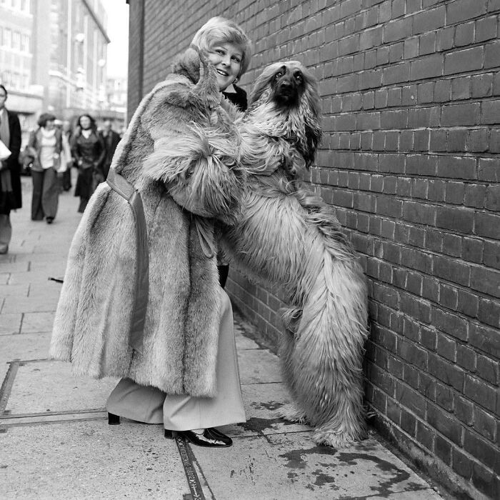45 Photos From The Past That Reflect The Enduring Relationship Between Dogs And Humans Shared By This Community