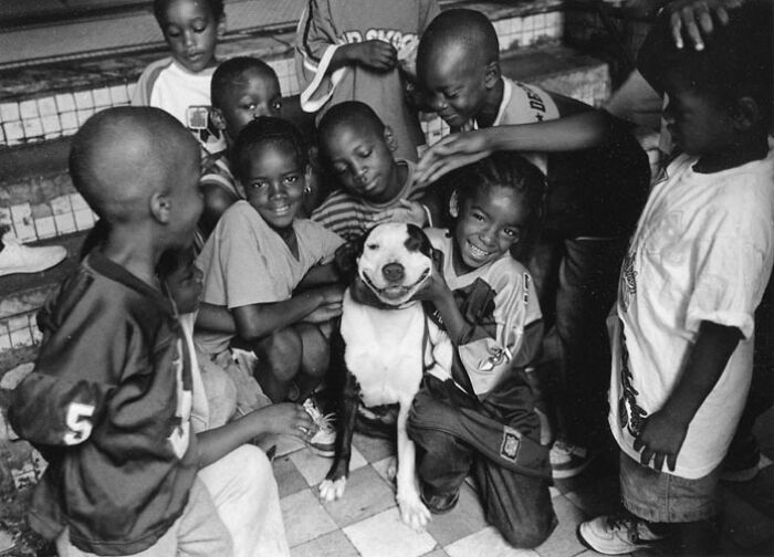 45 Photos From The Past That Reflect The Enduring Relationship Between Dogs And Humans Shared By This Community
