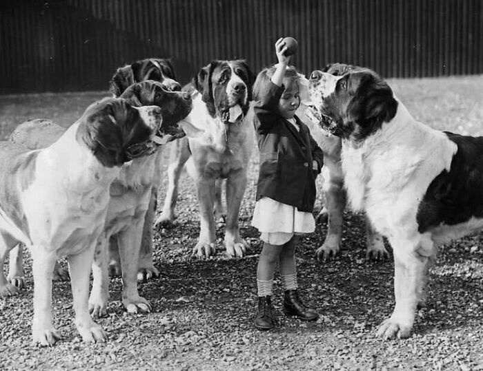 45 Photos From The Past That Reflect The Enduring Relationship Between Dogs And Humans Shared By This Community