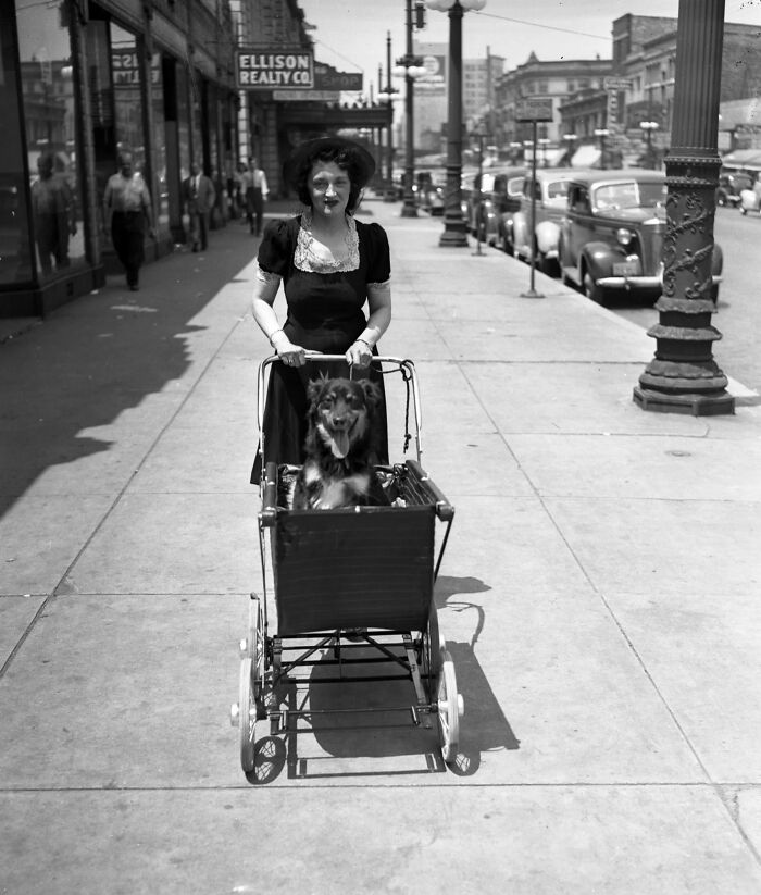 45 Photos From The Past That Reflect The Enduring Relationship Between Dogs And Humans Shared By This Community