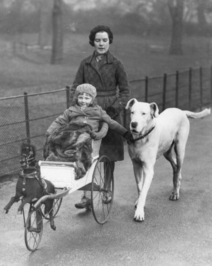 45 Photos From The Past That Reflect The Enduring Relationship Between Dogs And Humans Shared By This Community
