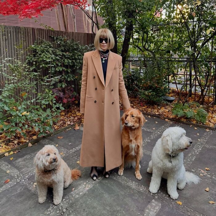 45 Photos From The Past That Reflect The Enduring Relationship Between Dogs And Humans Shared By This Community