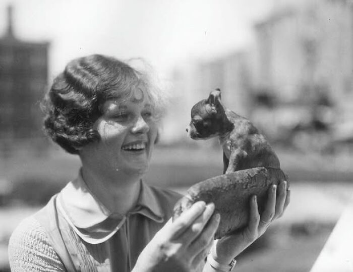 45 Photos From The Past That Reflect The Enduring Relationship Between Dogs And Humans Shared By This Community