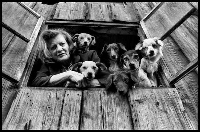 45 Photos From The Past That Reflect The Enduring Relationship Between Dogs And Humans Shared By This Community