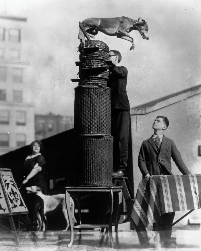 45 Photos From The Past That Reflect The Enduring Relationship Between Dogs And Humans Shared By This Community