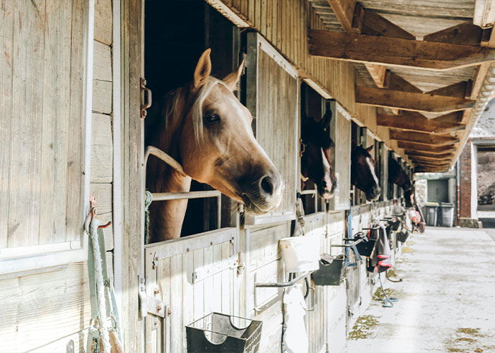After Missing Girl Is Found Alive After 32 Years, Investigator Left “Dumbfounded” Over What Happened To Her
