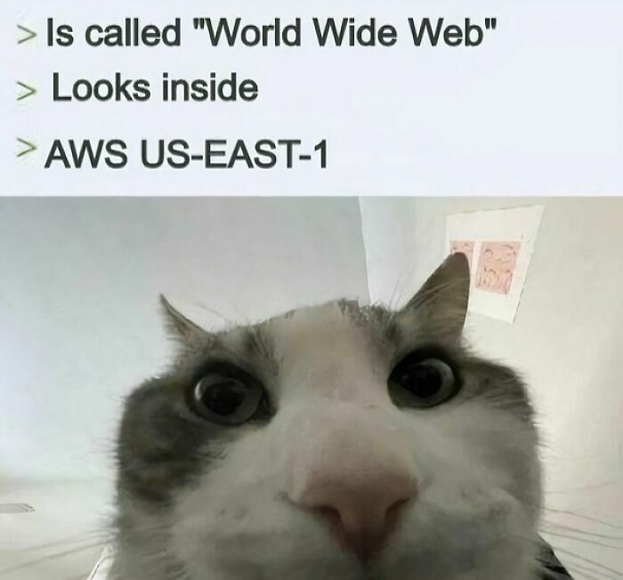 90 Hilarious Programming Memes That Prove Debugging Is A Universally Annoying Struggle (New Pics) 90 Hilarious Programming Memes That Prove Debugging Is A Universally Annoying Struggle (New Pics)