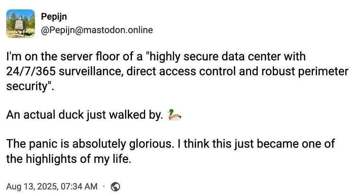 90 Hilarious Programming Memes That Prove Debugging Is A Universally Annoying Struggle (New Pics) 90 Hilarious Programming Memes That Prove Debugging Is A Universally Annoying Struggle (New Pics)