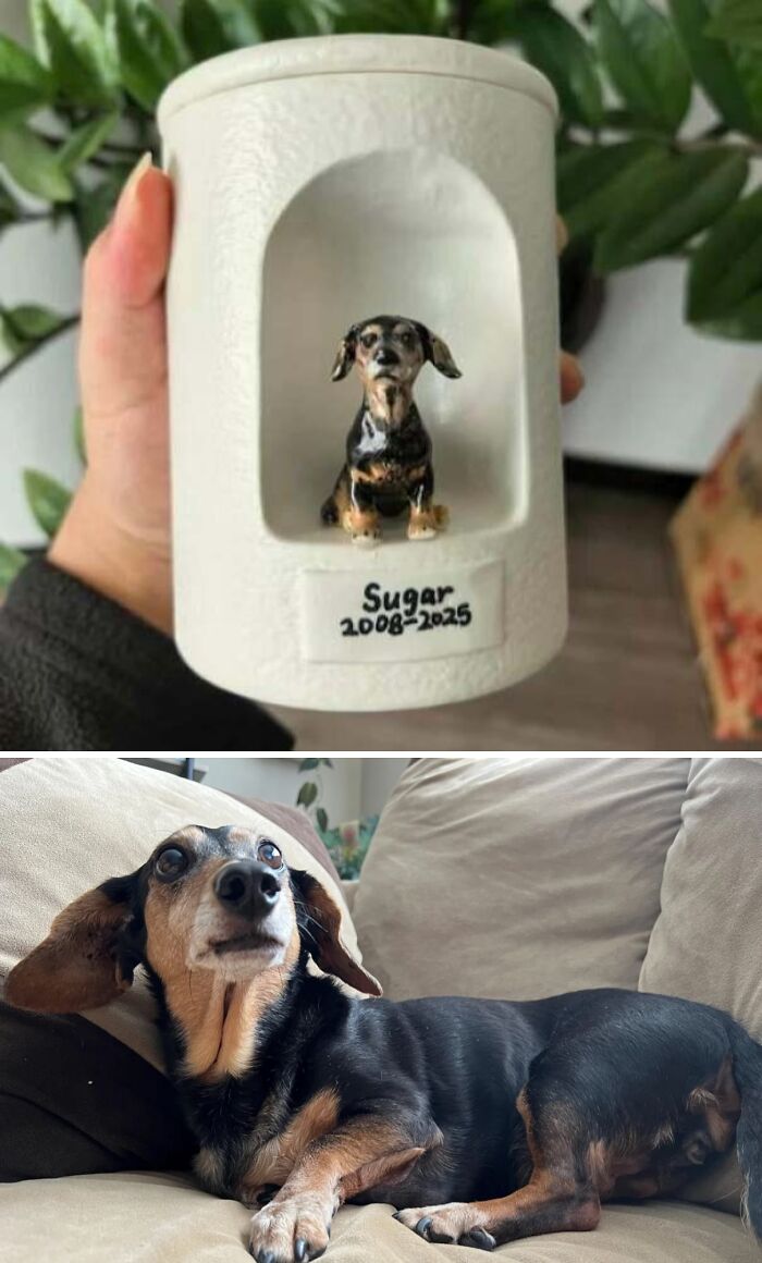 “It’s Been Healing”: 78 People Share Their DIY Wins (New Pics) “It’s Been Healing”: 78 People Share Their DIY Wins (New Pics)