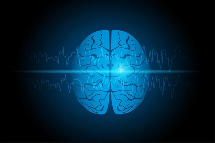 &ldquo;Humans Neurologically Enter Adulthood At The Age Of 32&rdquo;: Today Is A Good Day To Learn These 67 Facts (New Pics)