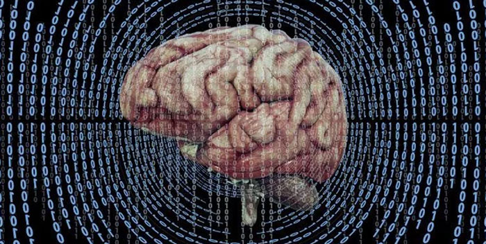 &ldquo;Humans Neurologically Enter Adulthood At The Age Of 32&rdquo;: Today Is A Good Day To Learn These 67 Facts (New Pics)