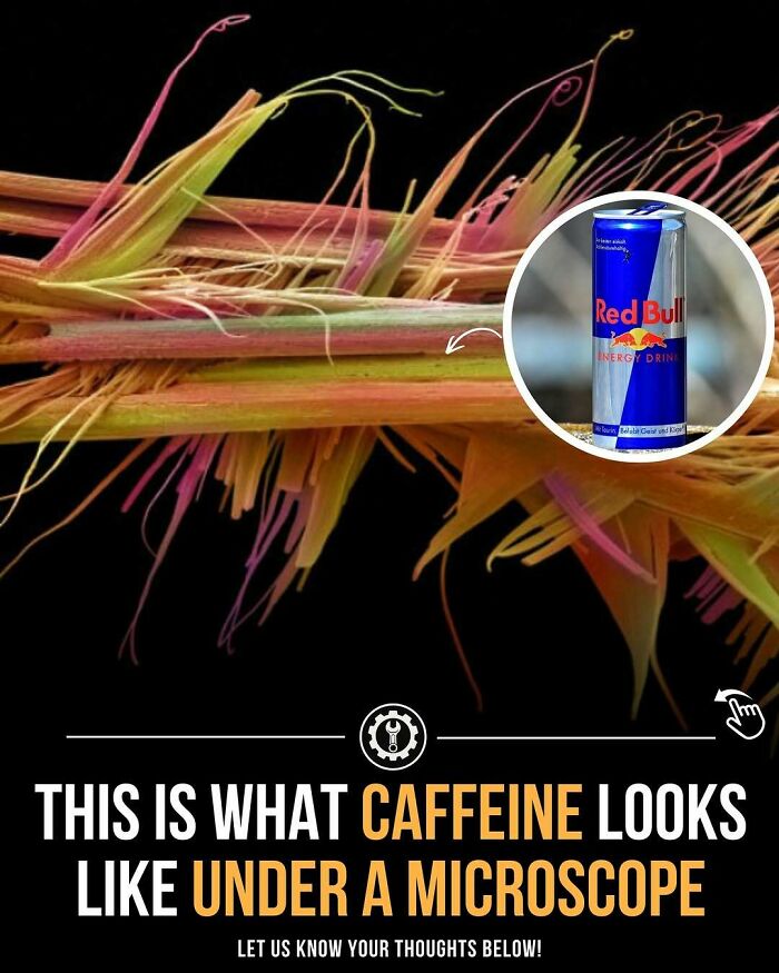 “How Everything Is Made”: 79 Fascinating Facts That Might Make You Do A Double Take