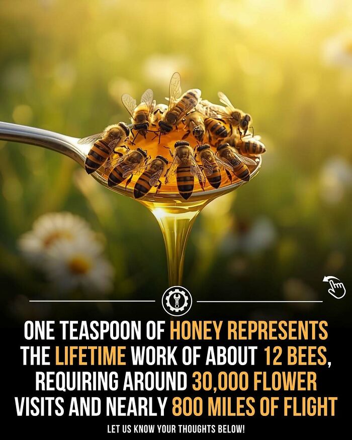 “How Everything Is Made”: 79 Fascinating Facts That Might Make You Do A Double Take