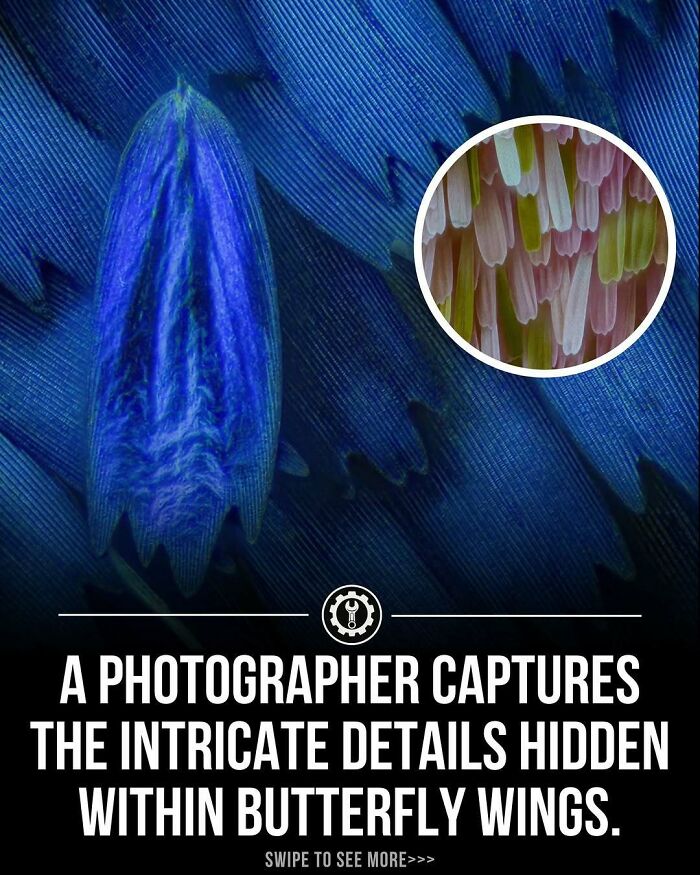 “How Everything Is Made”: 79 Fascinating Facts That Might Make You Do A Double Take