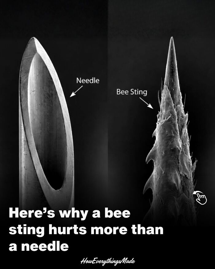 “How Everything Is Made”: 79 Fascinating Facts That Might Make You Do A Double Take