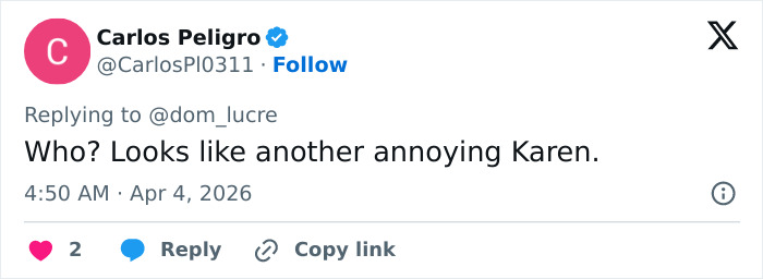 “Who The Hell She Is?”: Broadway Star Mercilessly Trolled After Complaining About Not Being Recognized On Plane