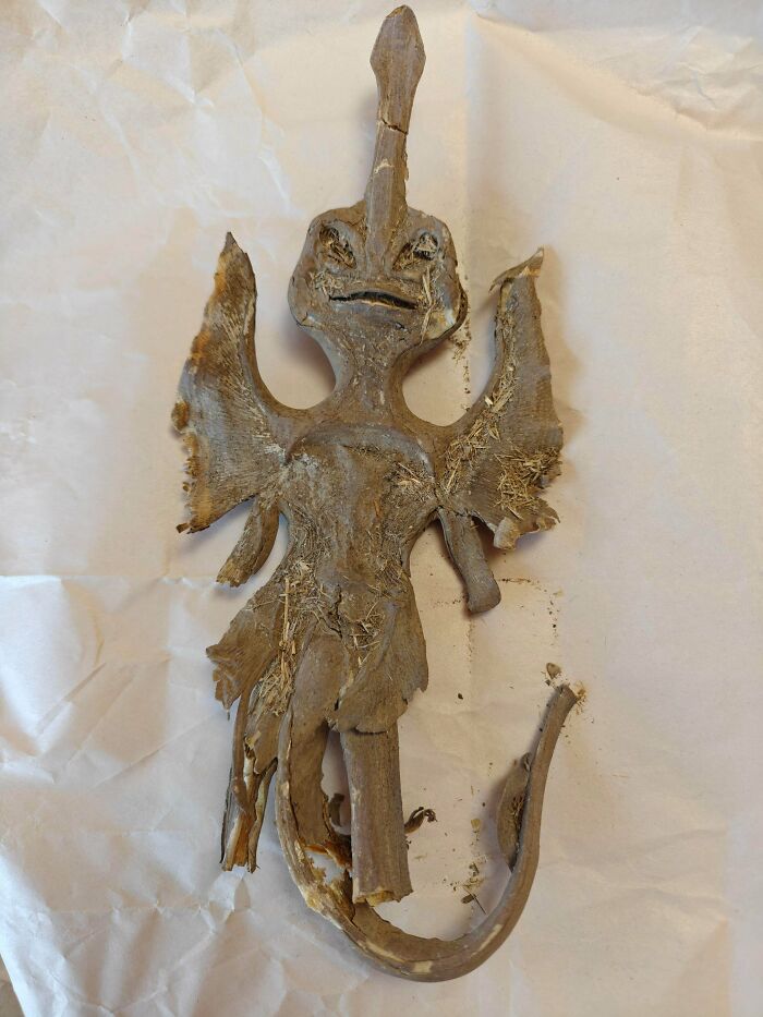 79 Interesting Fossils And The Stories Behind Them 79 Interesting Fossils And The Stories Behind Them