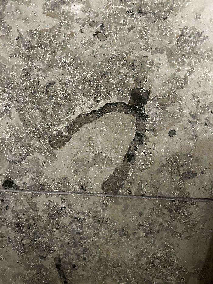 79 Interesting Fossils And The Stories Behind Them 79 Interesting Fossils And The Stories Behind Them