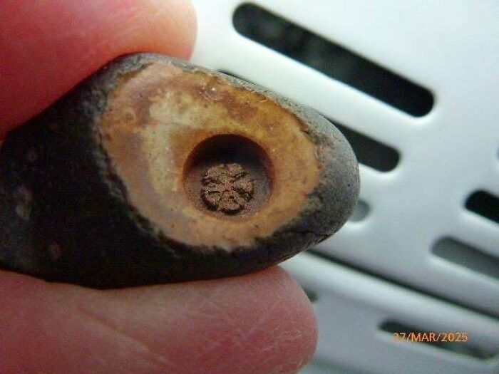 79 Interesting Fossils And The Stories Behind Them 79 Interesting Fossils And The Stories Behind Them