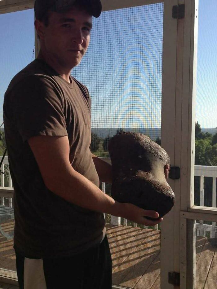 79 Interesting Fossils And The Stories Behind Them 79 Interesting Fossils And The Stories Behind Them