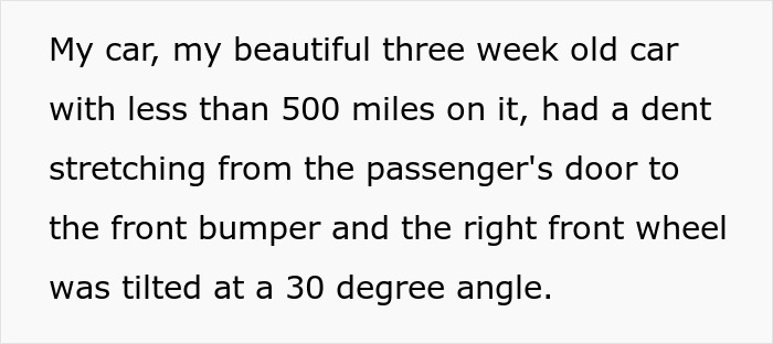 Entitled Woman Damages Guy’s Car Then Ignores Him, He Gets Her Bruised Kids Taken Away