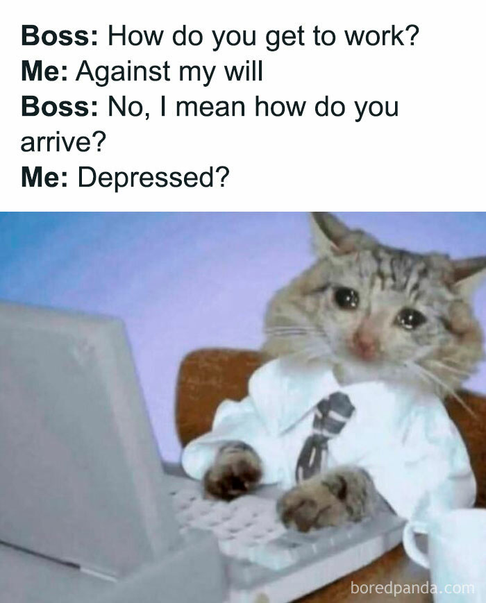 If Your Day Is Not Complete Without A Little Bit Of Meme Scrolling, Here Are 51 To Give You A Chuckle