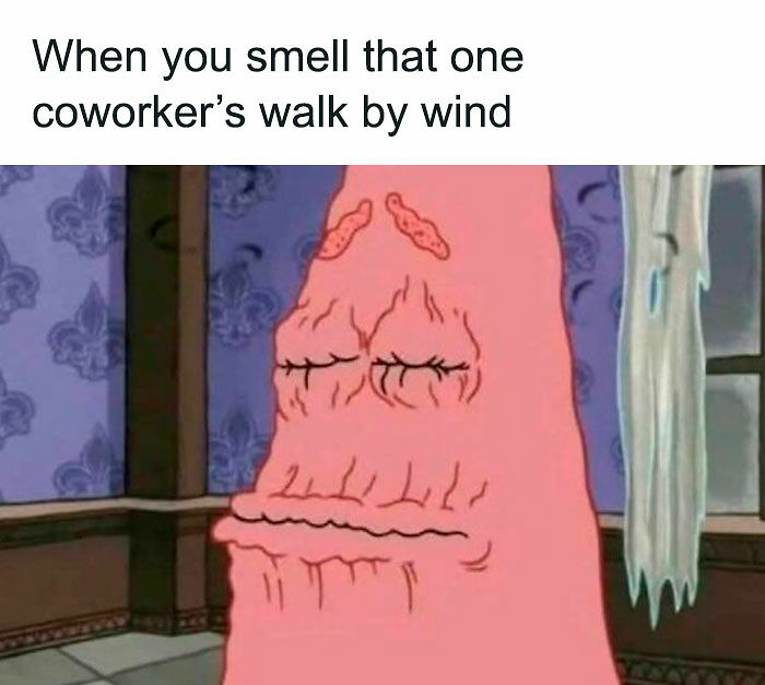 If Your Day Is Not Complete Without A Little Bit Of Meme Scrolling, Here Are 51 To Give You A Chuckle