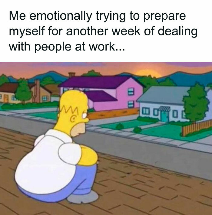 If Your Day Is Not Complete Without A Little Bit Of Meme Scrolling, Here Are 51 To Give You A Chuckle