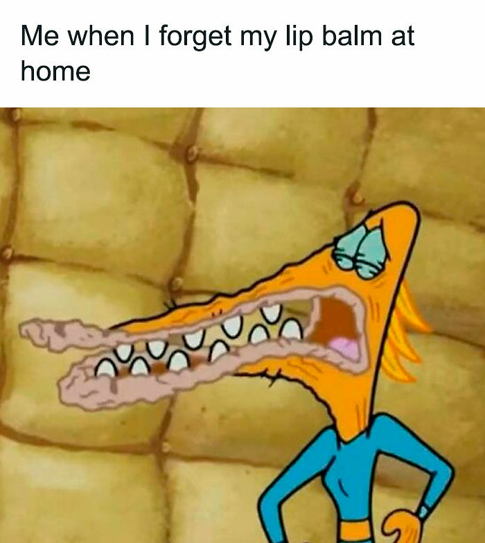 If Your Day Is Not Complete Without A Little Bit Of Meme Scrolling, Here Are 51 To Give You A Chuckle