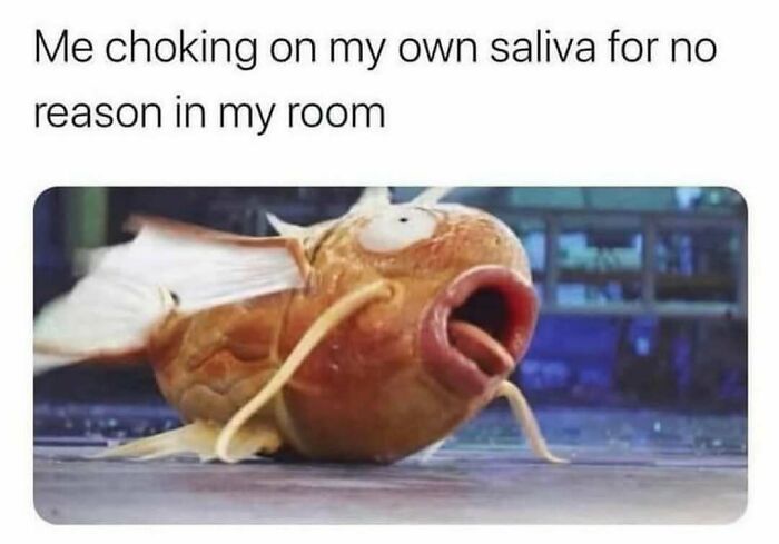 If Your Day Is Not Complete Without A Little Bit Of Meme Scrolling, Here Are 51 To Give You A Chuckle