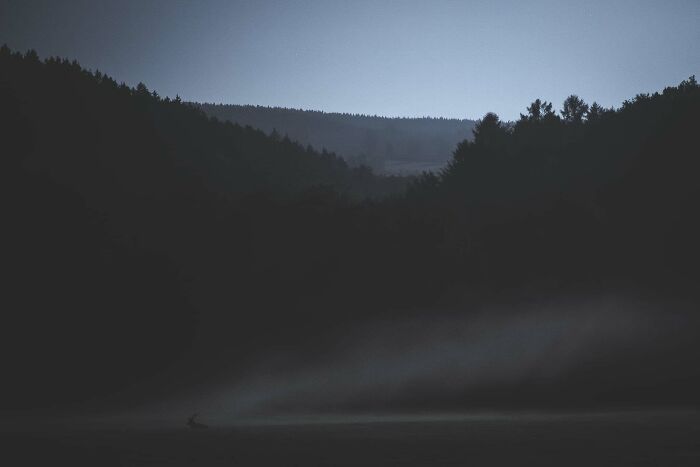 30 Breathtaking Wildlife Photos Captured By Michel d’Oultremont 30 Breathtaking Wildlife Photos Captured By Michel d’Oultremont