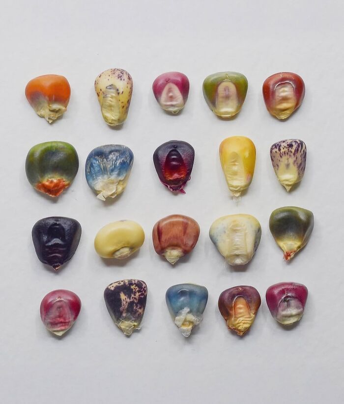 30 Stunning Nature-Inspired Creations Around The World Shared By Land Art Collective