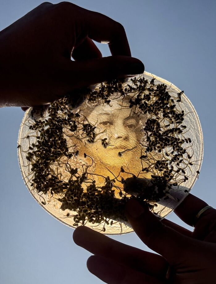 30 Stunning Nature-Inspired Creations Around The World Shared By Land Art Collective