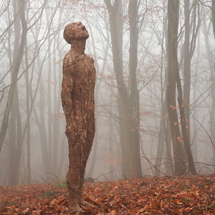 30 Stunning Nature-Inspired Creations Around The World Shared By Land Art Collective