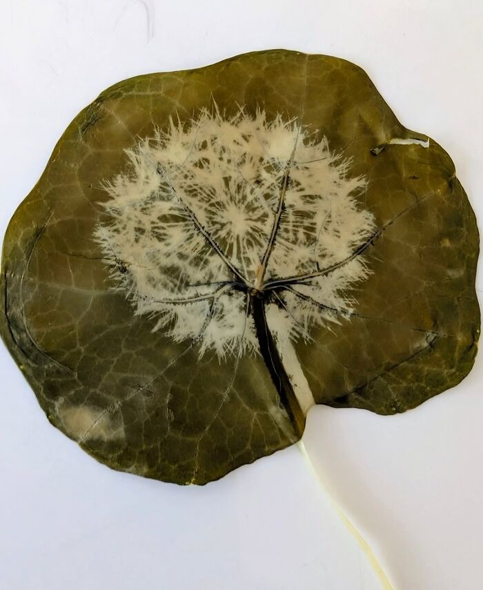 30 Stunning Nature-Inspired Creations Around The World Shared By Land Art Collective