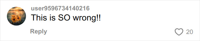 “I Hope You Sue”: Couple Sparks Debate After Airline Kicks Them Off Flight Due To Their “Sick” Crying Baby