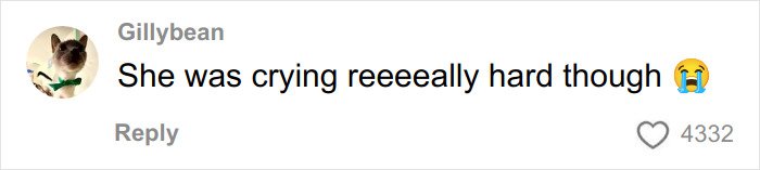 “I Hope You Sue”: Couple Sparks Debate After Airline Kicks Them Off Flight Due To Their “Sick” Crying Baby